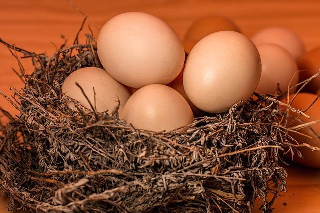 Sidestepping Pitfalls: Protecting Your Nest Egg