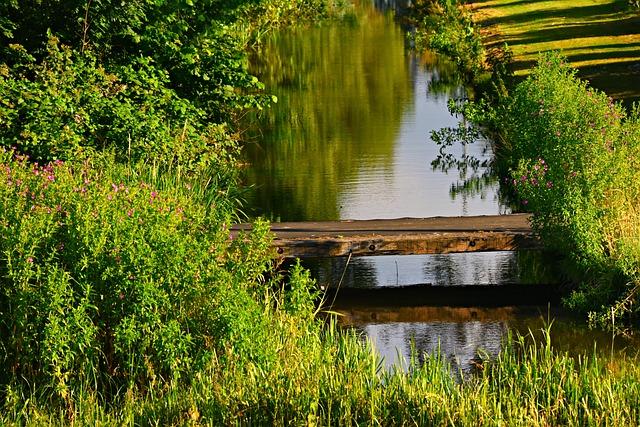 Building Bridges Across Generations: Stories and Traditions