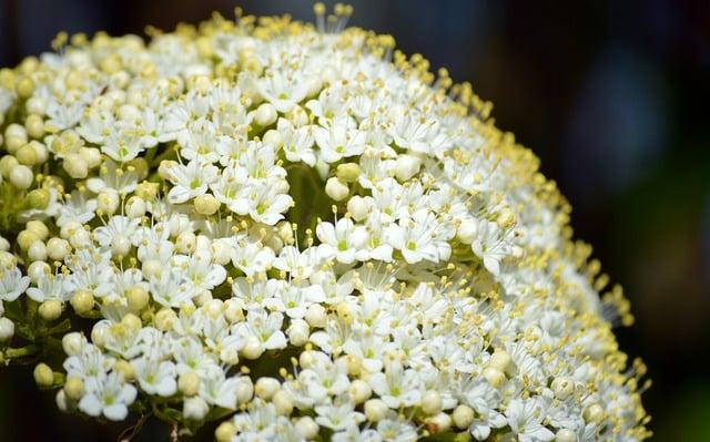 How to report elder abuse in assisted living facilities