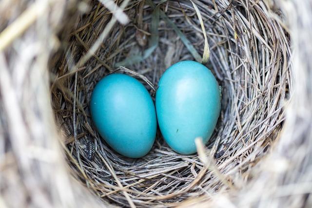 Crafting a Comfortable Nest: Strategic Savings and Investments