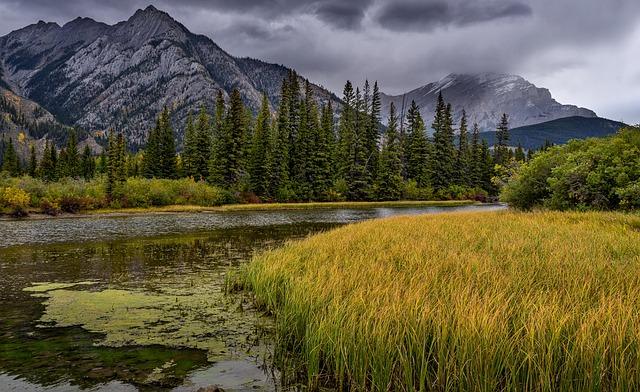 Exploring the Beauty⁤ of the Rockies Aboard the <a href=