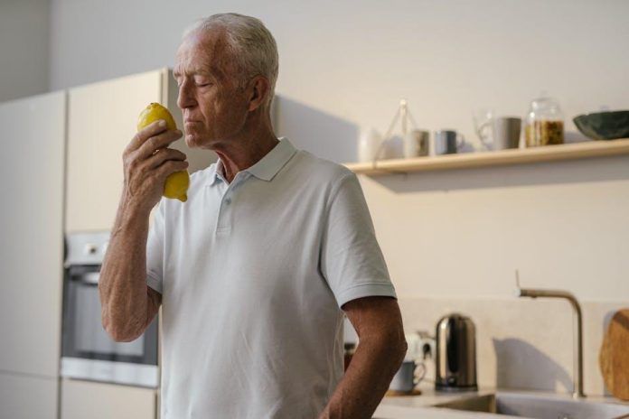 The Top Nutrients Every Senior Needs in Their Diet