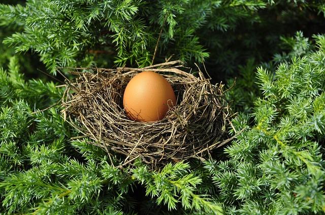 Smart Strategies for Stretching Your Nest Egg Further