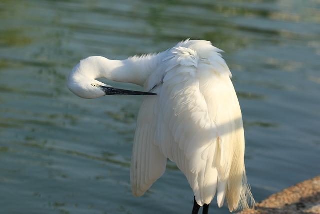 Financial Flexibility: Strategies for Unpredictable Expenses