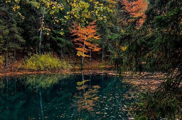 Silent Signals: How Your Joints Whisper for Attention