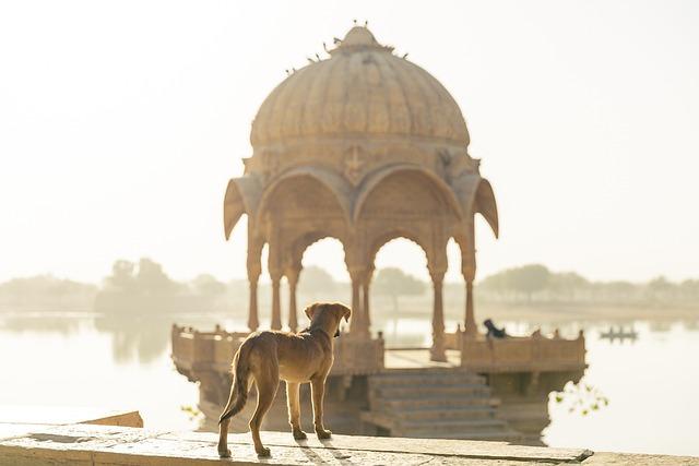 Capturing the Heartbeat of Your Heritage