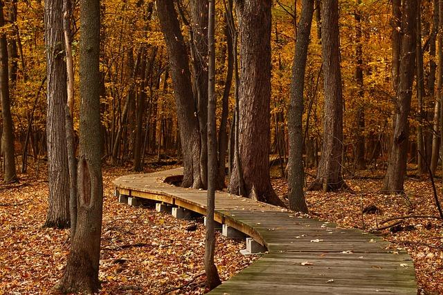 Exploring Serenity Trails and Tranquil Landscapes