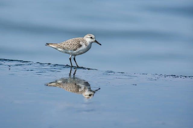 The Art of Reflection: Embracing Lessons and Growth in Your Memoir