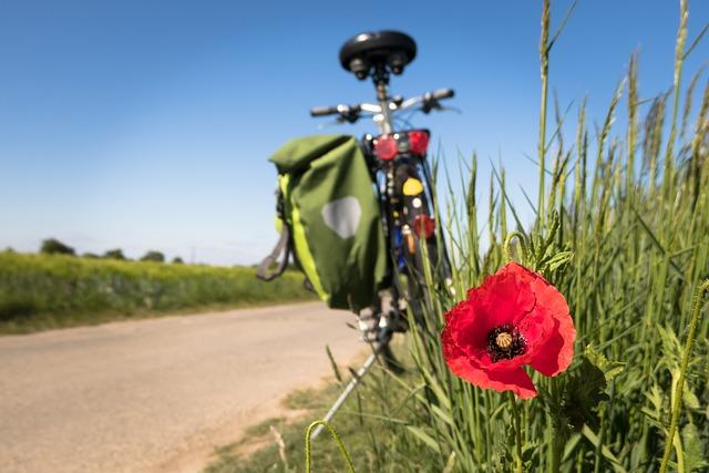 Embracing the Outdoors:⁤ Active Adventures to Connect with‌ Nature and⁤ Neighbors