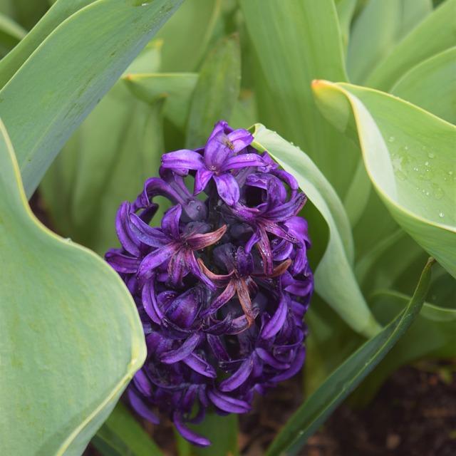 Hidden Gems: Lesser-Known Beach Retreats for Peaceful Retirement